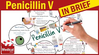 Penicillin V  Pen Vee K  What is Penicillin Used For Dosage Side Effects amp Precautions [upl. by Atilrak]