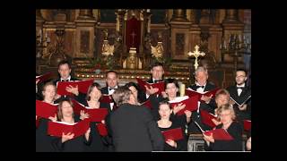 GF Haendel – „Dixit Dominus” HWV 232 – 6 Dominus a dextris tuis – Il Tempo Collegium Musicum UW [upl. by Lecrad]