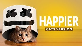 Cats amp Dogs Sing Happier  Marshmello Animals Cover [upl. by Saimerej]