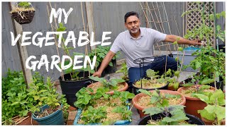 May Garden Tour  Inspiring Vegetable Garden Ideas [upl. by Anomer]