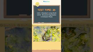 Test Time25  NEET MCQs  Class 11 Biology Frog Morphology of Flowering Plants classxi neet2025 [upl. by Elmo]