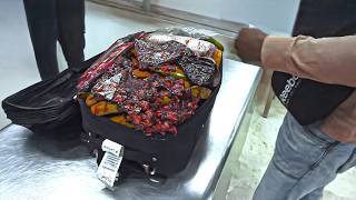 30 Most Disturbing Things Confiscated At Airport Customs Part 2 [upl. by Enait837]