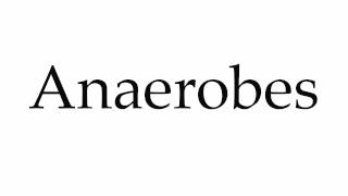 How to Pronounce Anaerobes [upl. by Marcellina108]