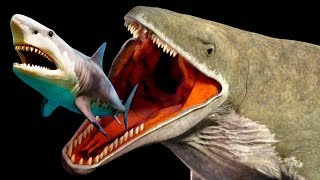 Mariana Trench Creatures That Are Scarier Than Megalodon [upl. by Armington879]