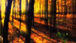 quotLe quattro stagioniquot Autunno 2Adagio MoltoA Vivaldi HQ [upl. by Panayiotis]