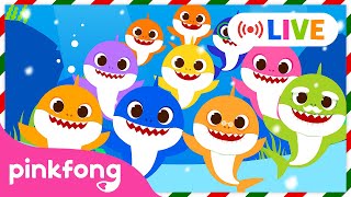 🔴 LIVE 🏆TOP Baby Shark Dance Songs  Winter Baby Shark  Doo Doo Doo  Pinkfong Live [upl. by Perloff]