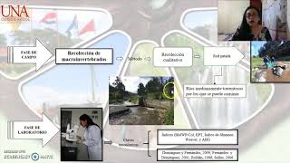 🧐👏Determinación de la calidad del agua por bioindicadores e índices biológicos del [upl. by Clare260]