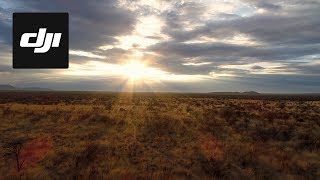 DJI Stories  Behind the Scenes Kingdom of the Wild [upl. by Leahcar]