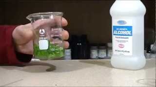 Extracting chlorophyll [upl. by Rocker]