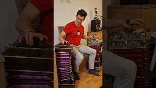 Two Bandoneons youtubeshorts music bandoneon bandovalo [upl. by Artnoed]