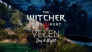 Witcher 3  Velen Day and Night  Music amp Ambience [upl. by Rammaj]