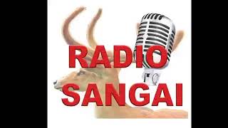 Sangai FM Live Stream [upl. by Alletniuq]