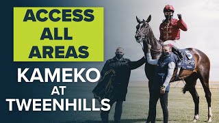 2000 GUINEAS WINNER KAMEKO SETTLING INTO NEW LIFE AT TWEENHILLS  ACCESS ALL AREAS [upl. by Hambley261]