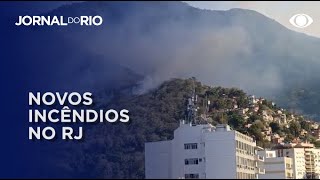 Incêndio na Floresta da Tijuca é um de quase 3 mil casos [upl. by Naziaf]