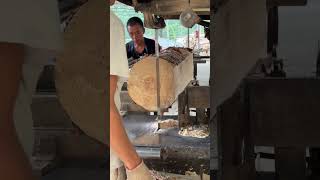 cuttingskills wood woodworking skills shorts woodcraft logcutting diywoodworking sawmill [upl. by Melamie76]