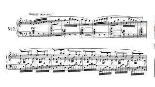 Schumann Papillons Op 2 [upl. by Tol]