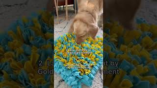 I tried these dog enrichment toys🤔  Day 8 of 21 days of Dog Enrichment dog dogtips [upl. by Ynafetse]