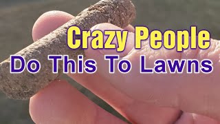 Only TRUE Lawn Care Nuts EVER Do This  My BEST Manual Core Aeration Tips [upl. by Ev]