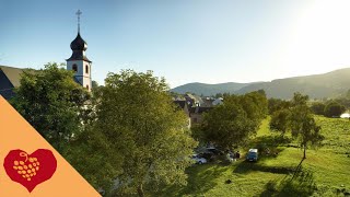 Brauneberg an der Mosel  Unterwegs im Ferienland BernkastelKues [upl. by Nuajed]