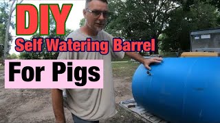 Self Watering Pig Water [upl. by Netnert511]