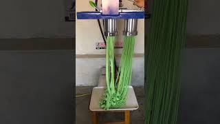 Small pwoerfull restaurant machainerystuffing noodles cuttingmachine chinesefood viralvideo [upl. by Oswell214]