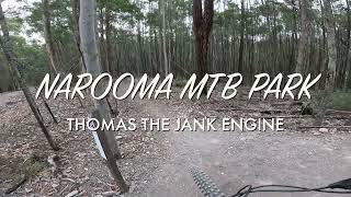 NAROOMA MTB PARK THOMAS THE JANK ENGINE [upl. by Odnomyar]