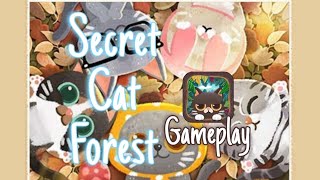 Secret Cat Forest Gameplay [upl. by Massab]