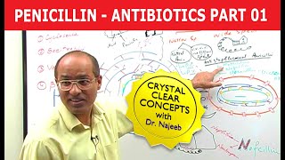 Penicillin  Antibiotics  Dr Najeeb  Part 14 [upl. by Blood77]