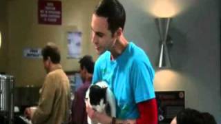 Big Bang Theory 4x03 Mr Robert Oppenheimerwmv [upl. by Wilma523]