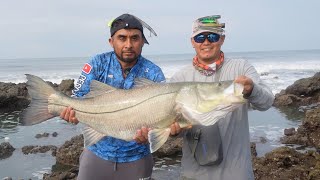 Increíble Donde Pescan Estos Pescadores  Pesca Y Cocina [upl. by Yeh]