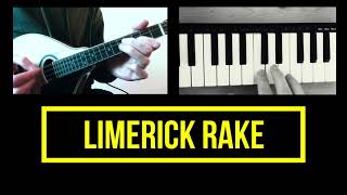 The Limerick Rake trad  The Pogues  Mandolin Instrumental [upl. by Aivataj]