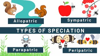 Speciation Allopatric Sympatric Peripatric Parapatric Types of speciation Examples [upl. by Doowrehs931]