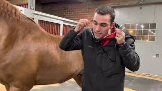 Horse Health Check Video [upl. by Derian647]