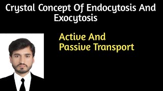 Endocytosis and exocytosis  Active and passive transport physiology [upl. by Carleen]