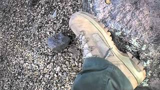 LOWA DESERT ELITE HIKING BOOTS REVIEW [upl. by Eimirej]