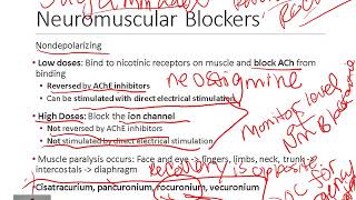 Pharmacology of Neuromuscular Blockers [upl. by Darrow160]