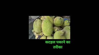 कटहल पकाने का तरीका NAMAK SE KATHAL KAISE PAKAYE BMC444VLOG [upl. by Nevaed]