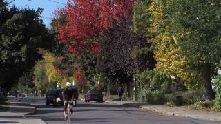 The Glebe  Ottawa  Picture it Downtown [upl. by Osnofedli]