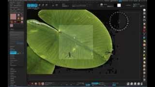Zbrush 4R5 Plant tutorial Part1 [upl. by Daisi]