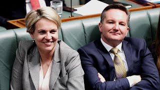 Tanya Plibersek backs renewables as ‘cheapest form of new energy’ despite AEMO admission [upl. by Hild]