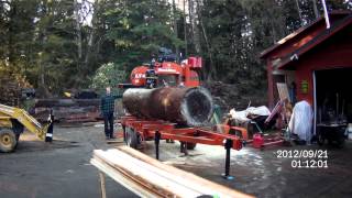 WoodMizer LT40 and a huge Douglas Fir [upl. by Dessma]