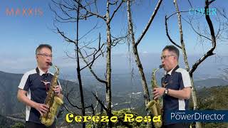 Cerezo Rosa櫻桃樹下Saxohone cover施滄智 [upl. by Ayikin]