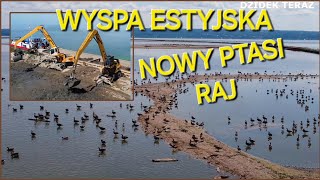 WYSPA ESTYJSKA  NOWY PTASI RAJ [upl. by Glendon]