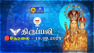 🔴 LIVE  Holy Mass in Tamil  19th September 2024  Annai Vailankanni Shrine  Besant Nagar Annai [upl. by Holey]