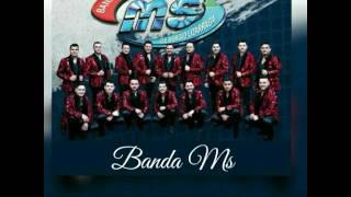 Banda Ms 2017 El Bien Amado [upl. by Eggett]