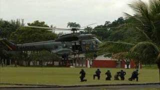 Forças Especiais do Brasil  Brazilian Special Forces [upl. by Ahsuas371]