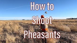 How to shoot Pheasants [upl. by Guild639]