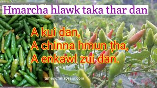 Hmarcha hlawk taka thar dan A chin dan leh enkawl zui dan [upl. by Siroled]