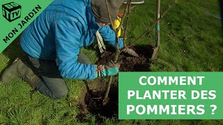 Comment planter un pommier   Mon jardin [upl. by Bach719]