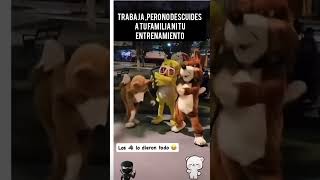 Los lobitos bailando lobitosbailando [upl. by Tristram733]